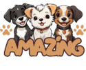 AMAZINGPETSHOME